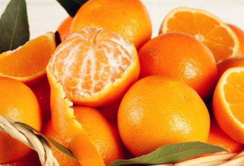 立冬过后采摘柑橘需要注意哪些要点 柑橘养殖简介