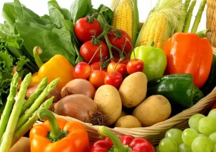 立春蔬菜怎么育苗定植 蔬菜养殖方法总结