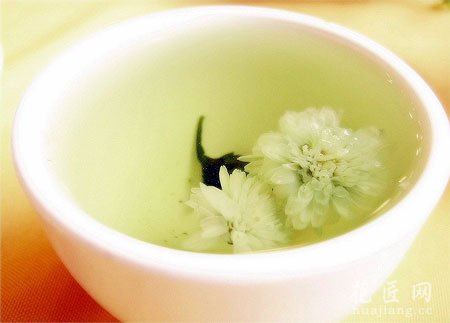 喝菊花茶有什么好处和坏处？