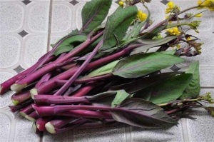 紫色的菜有哪些，盘点十大紫色最有营养的菜